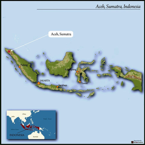 Sumatra Takengon Atu Lintang IKA Mandheling
