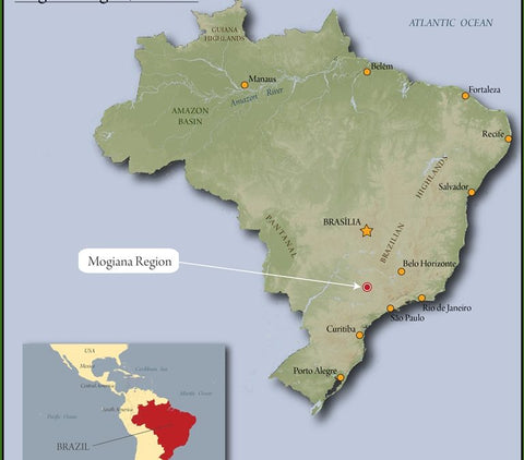 Brazil Sul de Minas